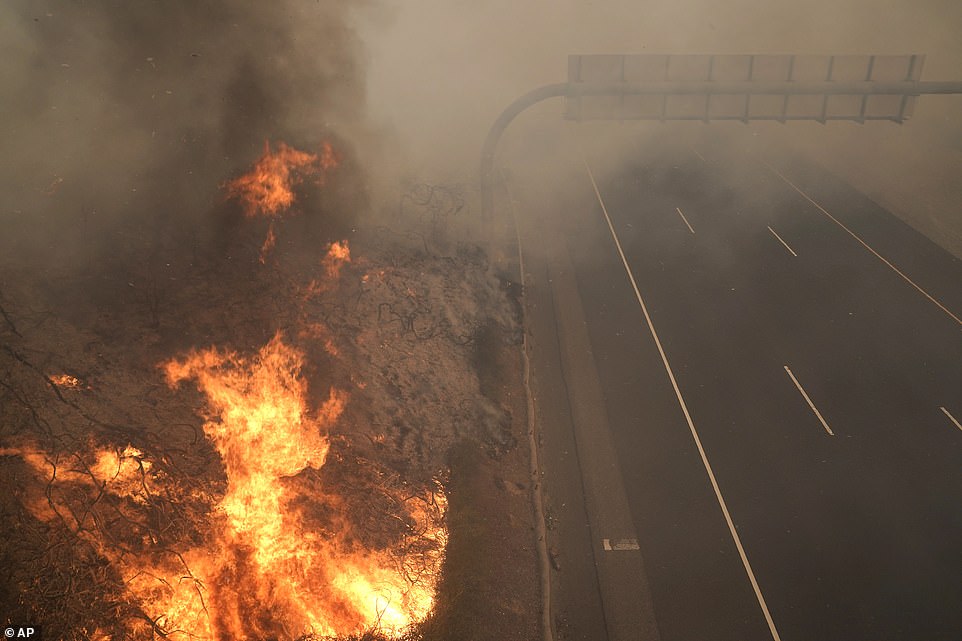 45+ Yorba Linda Fire Gif 12 1603773544 279 California authorities are evacuating 90000 people as wildfires flare up