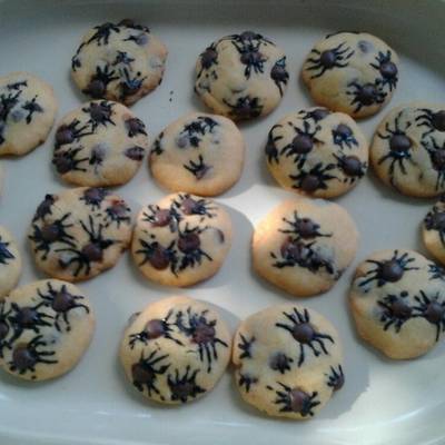 easiest way to prepare appetizing ladybirds spider cookies