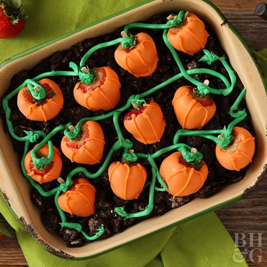 how to make tasty pumpkin patch delight