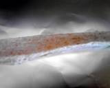 recipe delicious squid dogs w ink halloween