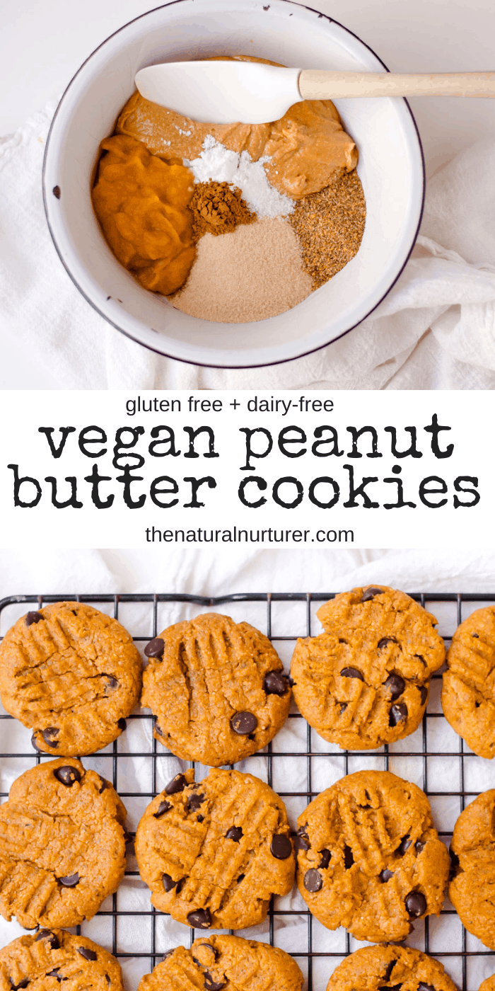 recipe tasty peanut butter pumpkin cookies easy