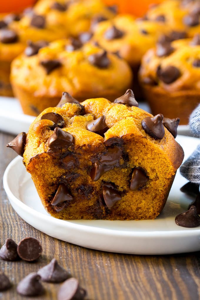 recipe tasty pumpkin chocolate chip muffins