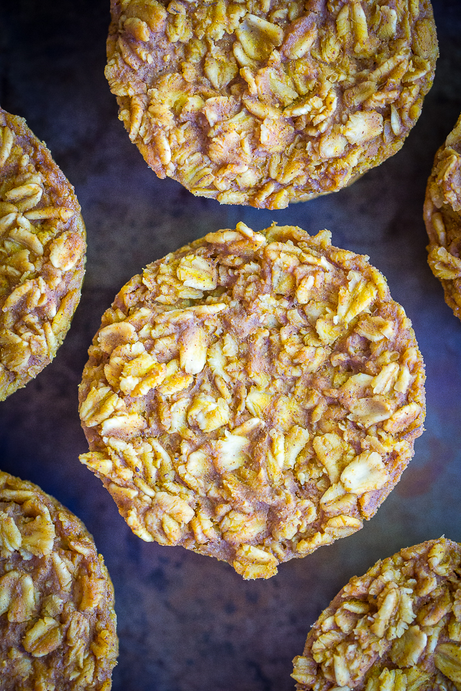 recipe perfect pumpkin pie baked oatmeal cups