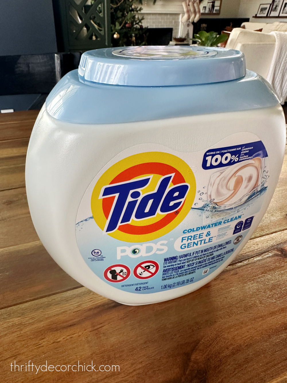 tide container gnome craft